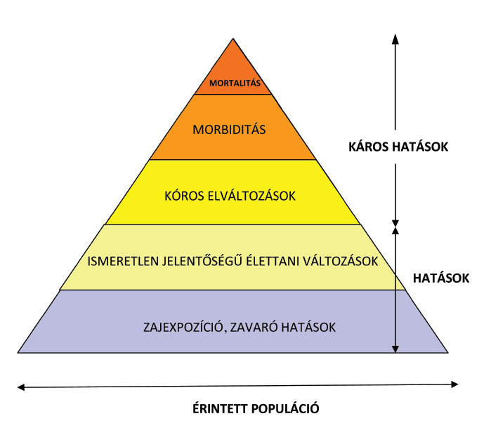 ZAJEXPOZÍCIÓ HALLÓRENDSZERI HATÁSOK Hordozható zenelejátszók felhasználóinak 5-10%-át érinti, Európában akár 10 millió felhasználót.