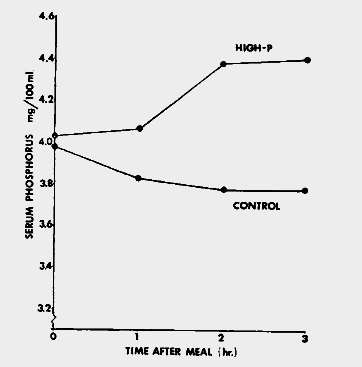 1g v. 2,1 g P bevitel összehasonlítása egészséges önkéntesekben Bell RR: 1977-ben Foszfátürítés magas foszfátbevitel esetén Szérum P