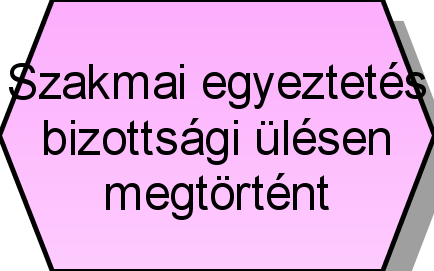 Pályázatok koordinálása Pályázati lehetőség felmerült Jogszabály, törvény Várospolitikai terv Pályázati referens Pályázat szükségességének vizsgálata Pályázat szükségességének vizsgálata megtörtént