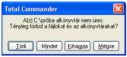 Abban az esetben, ha a célterületen már van egy ugyanolyan nevű fájl, a program erre felhívja a figyelmünket, és döntést kér.