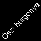 Hektáronkénti Hektáronkénti átlagtermelés átlagtermelés a a főbb főbb kultúrnövényeknél kultúrnövényeknél - hektár 3. 3. 25. 25. 2. 2. 15. 15. 1. 1. 5.