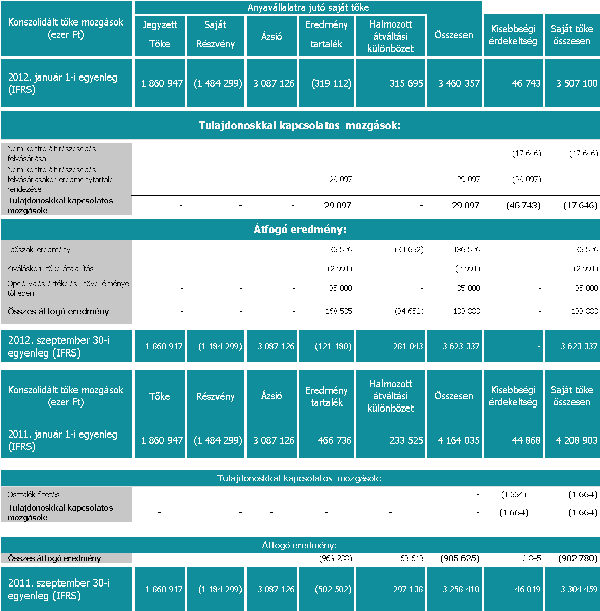 SYNERGON Csoport saját tőke változása 2012.