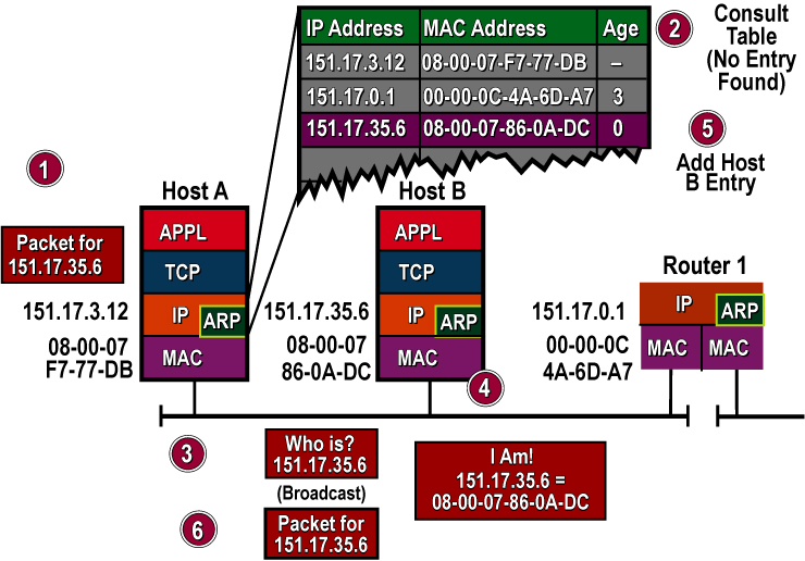 ARP, DHCP és DNS 3 Forrás: http://www.hill2dot0.com/wiki/index.php?