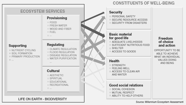 10.3. Az ökoszisztéma szolgáltatások és a jóllét összefüggése a Millenniumi Ökoszisztéma Felmérés alapján Jól-lét Ökoszisztéma