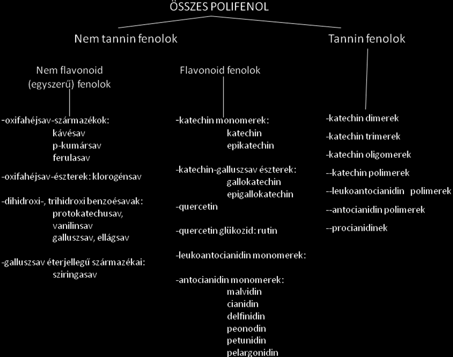 Fenolos vegyületek csoportosítása 26. kép Tanninok A francia tannin = CSERZŐANYAG szóból származtatott csoportnév.