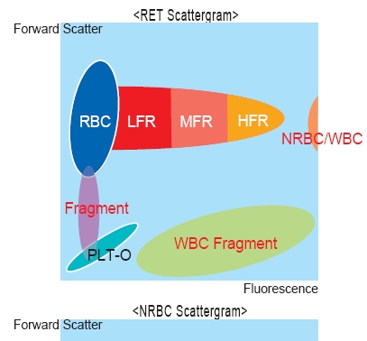 RBC fragmentocyták a