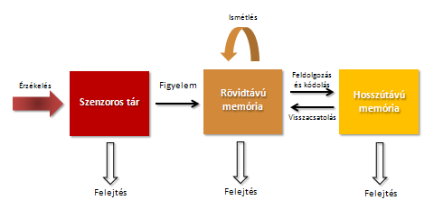 vás az emlékezet alapfolyamatai. Az emlékezet egy olyan rendszer, amely több alrendszerből épül fel és fontos feladata az információ tárolása és előhívása. 63 4.2.