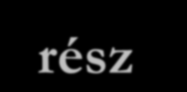 2. Tanácsadói rész