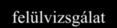 Hogyan értékeljem? XIV.