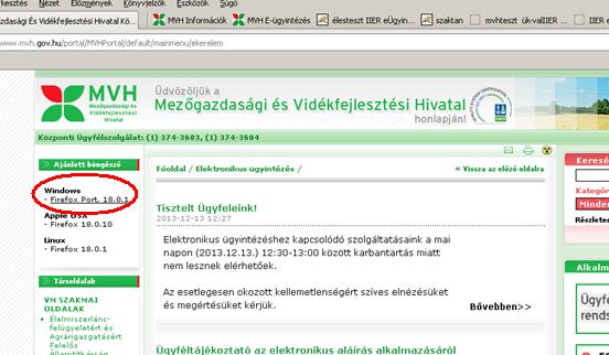 Firefox Portable A Portable szó hordozhatóságot jelent, vagyis jelen esetben olyan programot, ami nem igényel telepítést, hanem akár USB kulcsról is futtatható.