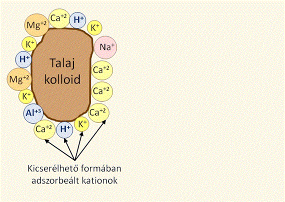 4. fejezet - A talajok kémiai degradációja - savanyodás Bevezető A talaj savanyodása a talajok ph-értékének kedvezőtlen csökkenése, melynek hatására kedvezőtlen irányba változnak a talaj fizikai,