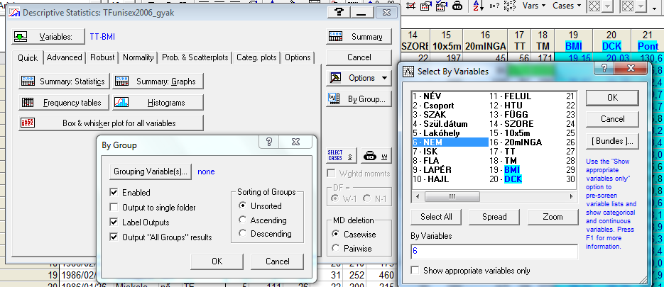 14. ábra: A választható leíró statisztikák a csoportonkénti statisztikáknál (két ablakban is beállítható) 5.