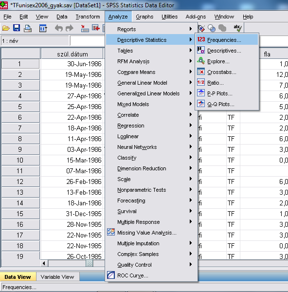 9. táblázat: Eredménytáblázat (SPSS) Descriptive Statistics N Mean Std. Deviation Statistic Statistic Std.