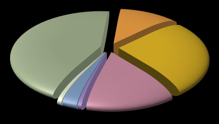 A 2013. évben teljesített kiadások összetételét a 6/2. sz. melléklet és a következő diagram szemlélteti: 10. ábra A BGF teljesített kiadásainak megoszlása 2013. év Munkaadókat terhelő járulékok 919.