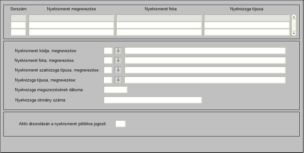 Nyelvismeret rögzítése funkciógomb. Az adatok rögzítése az Új felvitel gombbal indítható.