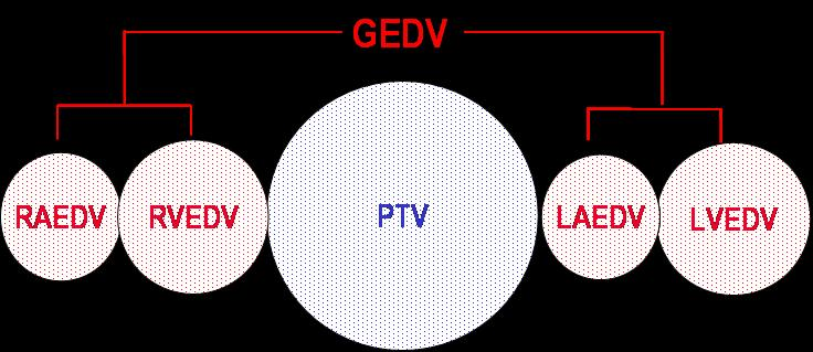 I./6.6.2. PICCO A PICCO két mérés típus integrációja. A mérés egyik formája a transzpulmonális termodilúció, amely intermittáló mérést tesz lehetővé.