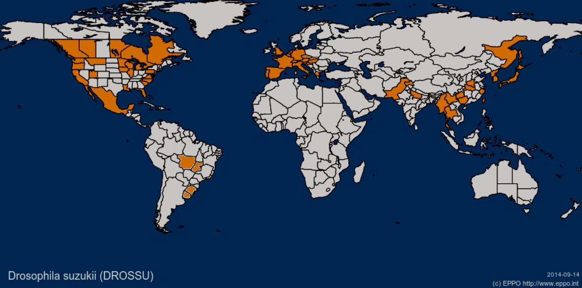 Elterjedés: Származás: Délkelet-Ázsia Ázsia: Japán (1916), Kína (1930), India, Kórea, Taiwan, Thaföld, Burma, Pakisztán, Mianmar Európa: Spanyolo. (2008), Olaszo., Oroszo. (2009), Franciao.