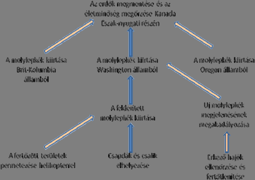 Átfogó cél: magas szintű, átfogó kép, vízió, globális stratégiai- vagy programcél, aminek megvalósulásához hozzájárul a projekt; Projekt cél: hatás vagy magatartásbeli változás, amit a projekt