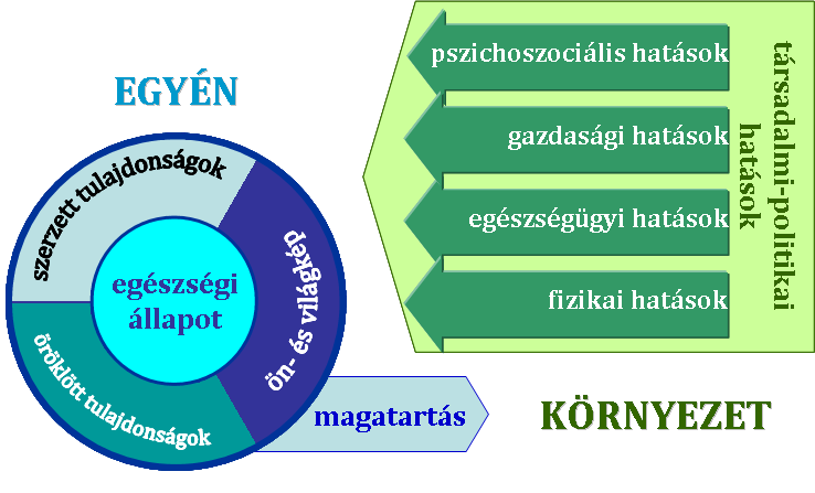 1. ábra: Egy egyén egészségi állapotát befolyásoló egyéni és környezeti tényezők kapcsolatrendszert összegző egészségmodell Fig 1: Health model with individual and