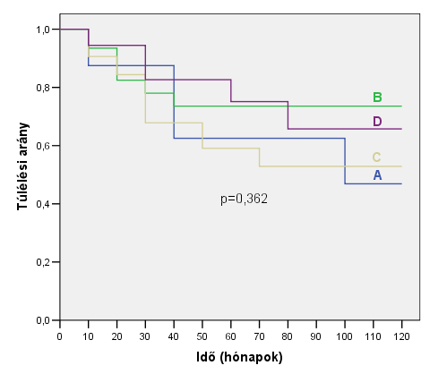 A: eosinophil +, hízósejt + B: eosinophil -, hízósejt - C: eosinophil +, hízósejt - D: eosinophil -, hízósejt + 11. ábra.