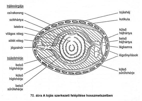 Mellékletek