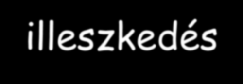 Statisztikai próbák: I.) Khi-négyzet próba: a várt (elméleti és a ténylegesen kapott gyakorisági adatok közötti eltéréseket vizsgálja.