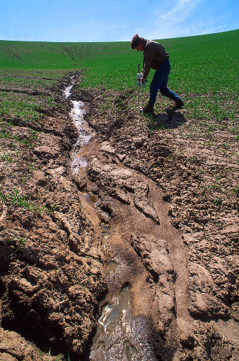 7. A RÉZSŰCSÚSZÁS GEOTECHNIKAI VONATKOZÁSAI 7.1. A rézsűmozgások alapvető típusai és okai Először is tisztáznunk kell, hogy a jelen esetben nem erózióval állunk szemben.