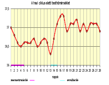 AZ EMBER SZAPORÍTÓ SZERVRENDSZERE Mf. 5 old. a) 3, 7 b) 2, 4, 5 c) 6, 9, d) 1, Rajzolás tankönyvi ábra alapján! Hol termelődnek? - a herében Termelődésük folyamatos vagy ciklikus?