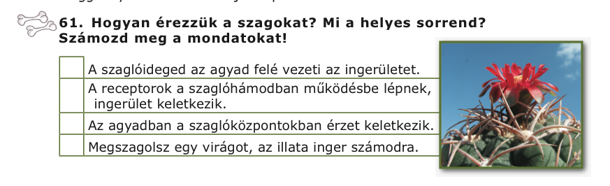 A magyarnyelv-oktatási segédanyag feladatok leírása grammatikai szintenként Mondat: cél: mondatstruktúrák felismertetése,rögzítése,