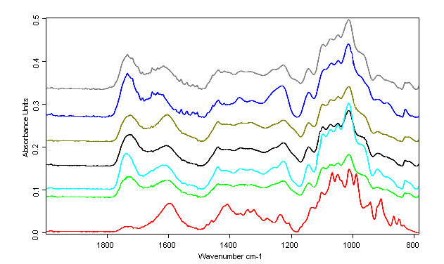 szeder Standard (DE~90) piros ribizli Standard (DE~60) málna fekete ribizli Standard (DE~30) 4.2.9. ábra: A különbözı pektinek FT-IR spektruma az 1800-800 cm -1 -es tartományban A 4.2.8-as ábrán málna törkölybıl nyert pektin teljes IR spektruma látható.