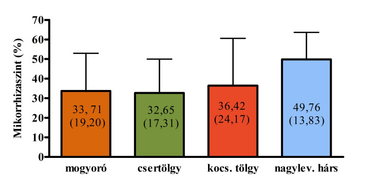 A csemetemikorrhizálás eredményei Inokulálási módszerek összehasonlító vizsgálata EREDMÉNYEK A mikorrhizált csertölgy csemeték esetében a két mikorrhizálási módszer között (talajinokulált és