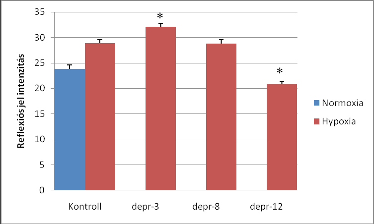 16. ábra Deprenyl kezelés egy órás hypoxia után. A mitokondriális transzmembrán potenciált JC-1 festéssel (piros és zöld jel aránya) határoztuk meg 24 órás reoxigenizáció után. (átlag±sem, p<0.