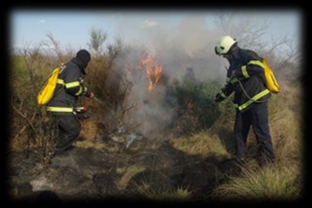 Képzési program Kadétok (óra) Tűzoltók (óra) Altisztek (óra) Tisztek (óra) Elméleti Gyakorla ti