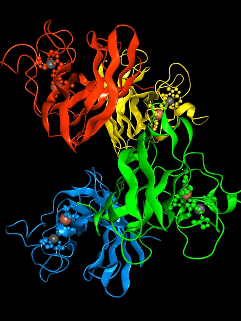 Redoxi folyamatok katalízise: A CuZn-SOD enzim Gly 80 Asp 81 COO Val 79 N N Zn 2+ N His 118 N