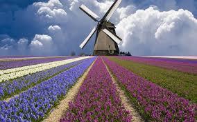 Paár Ádám Egység a sokféleségben Részletek Hollandia politikai kultúrájából Sokan úgy vélik, hogy Hollandia jó példa arra, miként képes egy demokrácia együtt élni a belső konfliktusokkal.