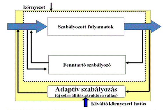 Rendszerelméleti, rendszertechnikai alapok Fontos megjegyeznünk, hogy csak akkor tekinthetünk egy gazdasági folyamatot szabályozottnak, ha a várható kimenetét előre megtervezzük.