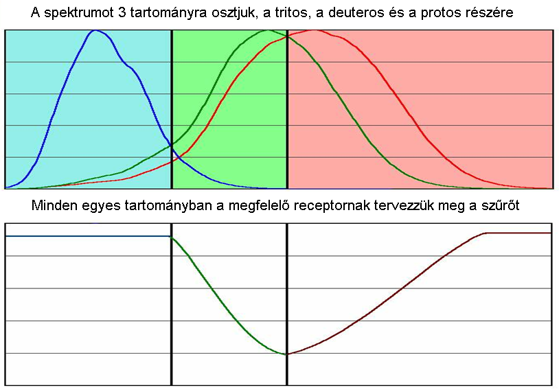 többi színt is először sárgásnak látjuk, a szín-adaptáció következtében azonban a színek rövidesen ismét természetesnek hatnak. Ezt a jelenséget nevezik szín konstanciának.