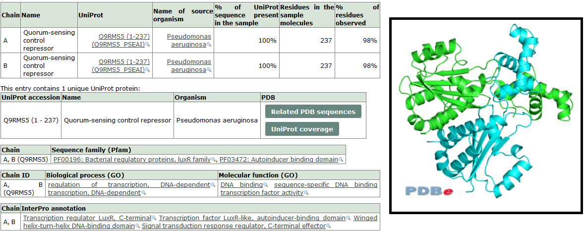 1.15. ábra A 3szt nevű PDB rekord 4) Bioinformatikai hálózat adatbázisok A bioinformatika egyik fontos adattípusa a metabolikus útvonalak alkotta hálózatok.