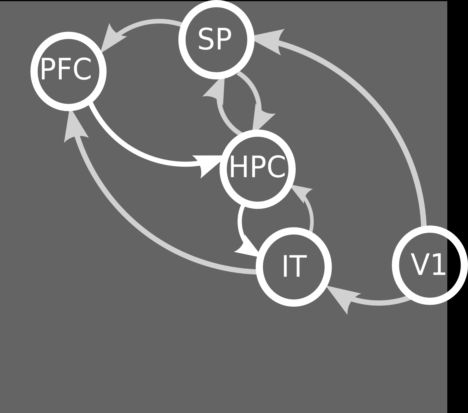 Paraméterszintű összehasonlítás Az illesztett modellek paramétereinek átlagos értéke a két csoportban Eltérések Prefrontális kéreg-hippokampusz: a memória tudatos kontrollja