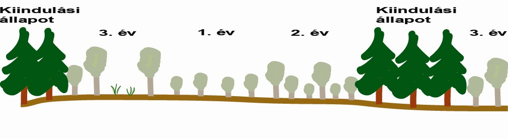 A további beavatkozások (II/1; II/2; II/3) során is több lehetőség áll rendelkezésre. Ezek külön-külön is (a hatékonyságuk függvényében), illetve kombinálva is alkalmazhatóak. 1. változat (II/1.