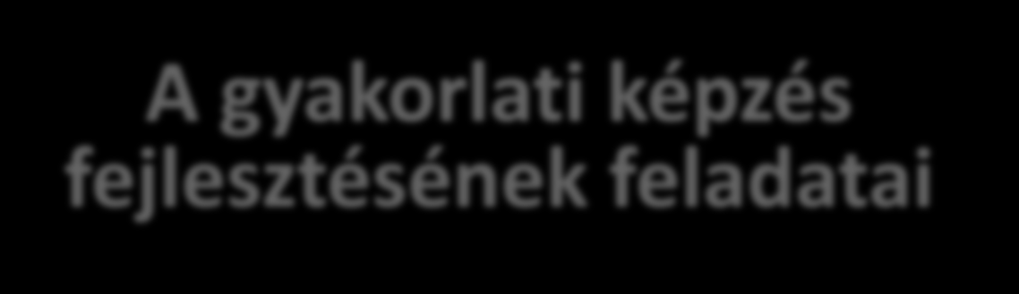 A gyakorlati képzés fejlesztésének feladatai A helyi gazdasági szféra igényeihez alkalmazkodó képzési szerkezet kialakítása, módszertani és tananyagfejlesztés.