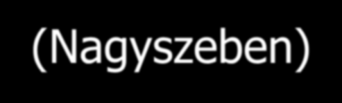 Első román nyelvű térképek Moldva: 1813 Gr. Asachi: topográfia oktatás Jászvásár 1833, 1847 Petre Asaki: Moldva közigazgatási, posta-térképe 1838 42 Asachi: első atlasz, nyomtatás Jászvásár 1842 A.