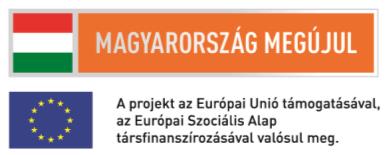 Tanulmány Humánerőforrás-gazdálkodási javaslattétel az önkormányzati