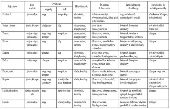 Szamóca 13.4. táblázat. Magyarországon termesztett egyszer termő szamócafajták fontosabb jellemzői A 13.4. táblázat folytatása A szamócafajták többsége öntermékeny, ezért fajtatársításra a szüreti időszak széthúzása vagy az eltérő felhasználási célok miatt van szükség.