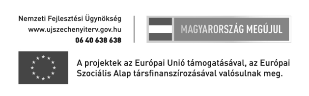 14. oldal FÉNYSUGÁR VISSZATEKINTŐ REFISZ-es szilveszter a mezőcsáti ifiben Vig-Kiss Ilona Tavaly 2012.12.31-én megrendezésre került a mezőcsáti ifi első szilvesztere.