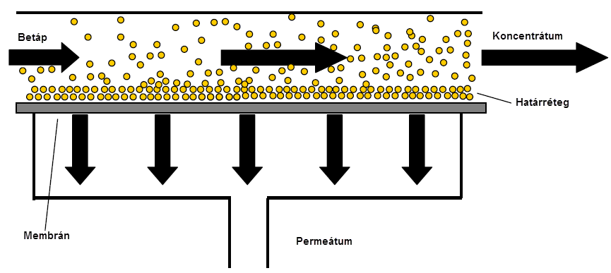 30 JÁRMŰIPARI FESTŐRENDSZEREK 18. ábra A betáplált folyadék egy része keresztülhalad a membránon, a visszatartott részecskék bekoncentrálódnak a maradék folyadékáramban.