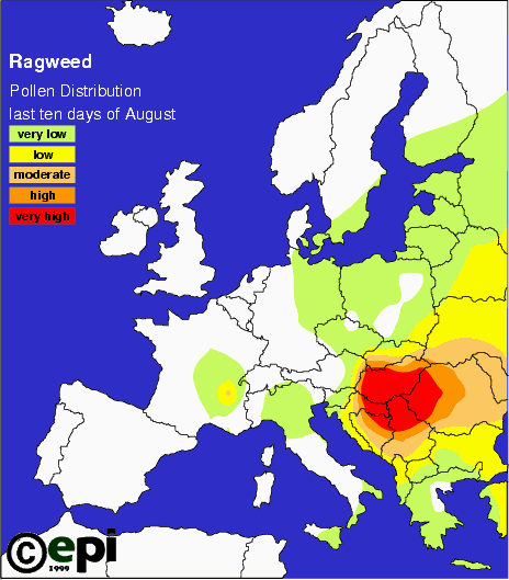 megjelenni, illetve hosszútávon megmaradni, ahol őshonos társulásainknak nincs lehetősége kialakulni, vagy egészséges formában fennmaradni, vagyis például az erősen degradált és feltört gyepeken, az