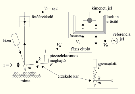 színkülönbség alapján potenciális grafén struktúrákat.