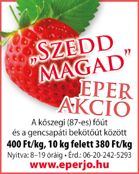 Kétféle méretben kapható: nagyobb fél-egész búzaszemekből, ez köretként fogyasztható, míg az apró tört fajtát saláták, főtt ételek alapanyagaként használják.