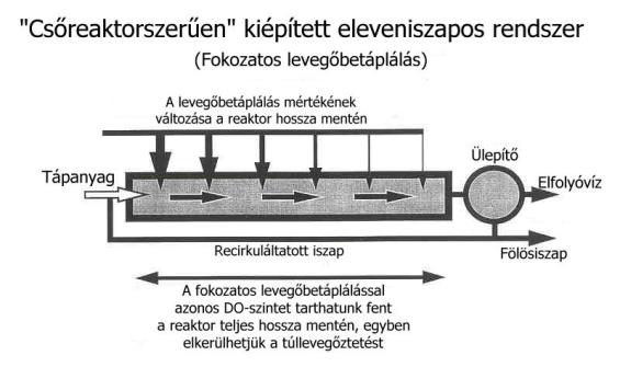 anoxikus reaktor: cél: nitrogén eltávolítás nincs levegőbevitel oxigént csak kémiailag kötött formában (NO 3- -ban) tartalmaz a víz NO 3- forrás: belső iszaprecirkuláció a levegőztetett medencében